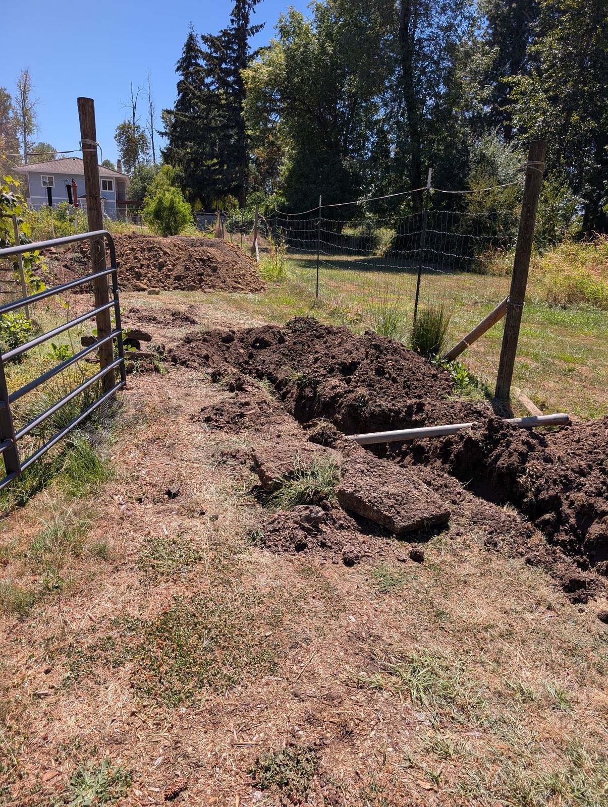 Fresh ground work near the pasture gate